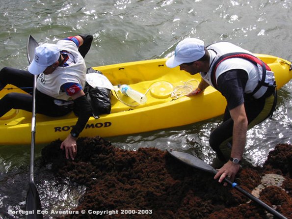 PEA_ALG03_CAN1_CPArmada01