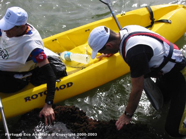 PEA_ALG03_CAN1_CPArmada02