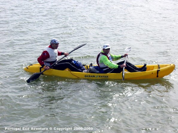 PEA_ALG03_CAN1_CPArmada