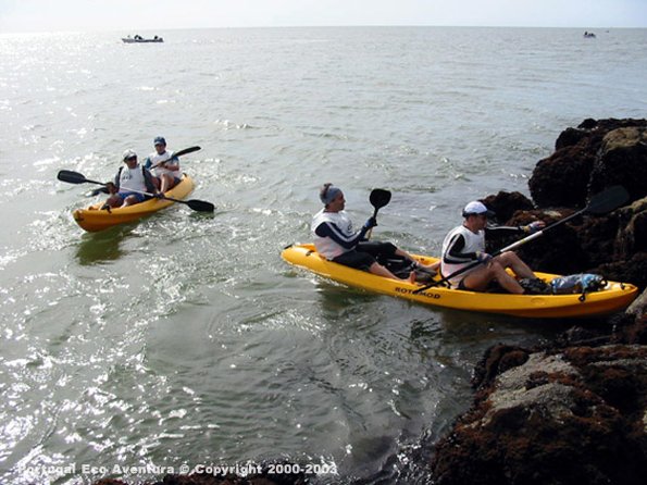 PEA_ALG03_CAN1_ClacNel01