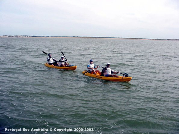 PEA_ALG03_CAN1_ClacNel02