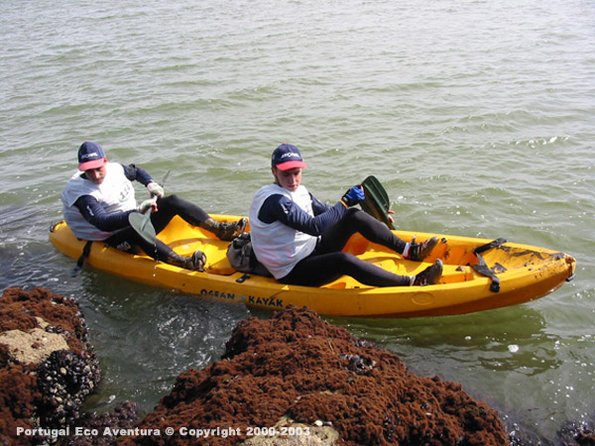 PEA_ALG03_CAN1_Ronal01