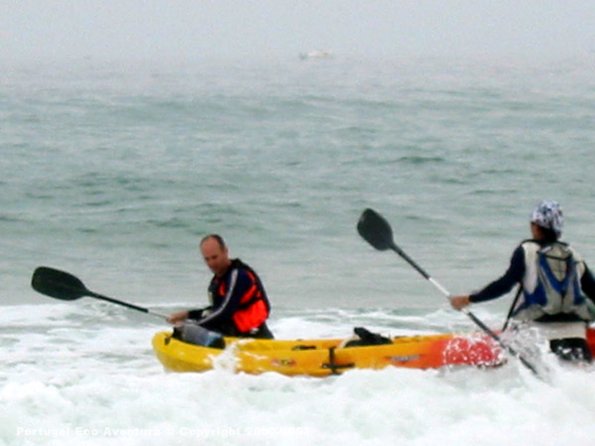 PEA_ALG03_CAN7_ClacNel03