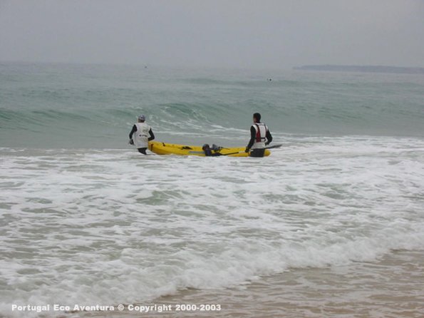 PEA_ALG03_CAN7_Optimus01