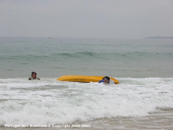 PEA_ALG03_CAN7_Salmoes02