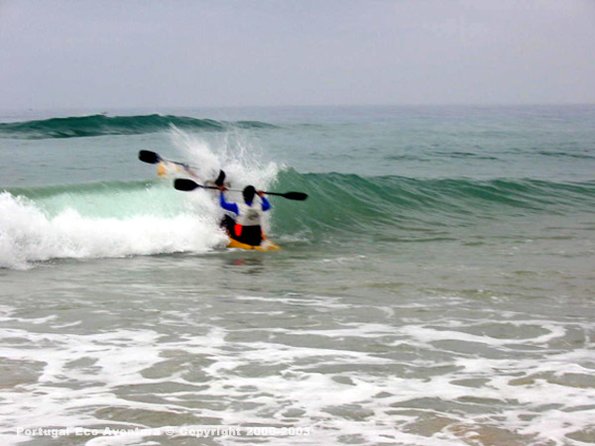 PEA_ALG03_CAN7_Salmoes03