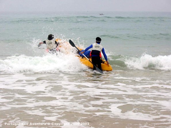 PEA_ALG03_CAN7_Salmoes04