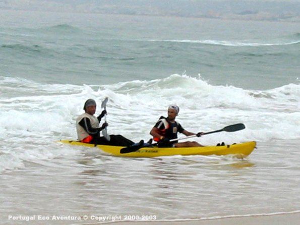 PEA_ALG03_CAN7_Salmoes06