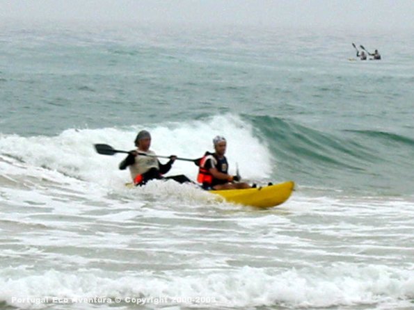 PEA_ALG03_CAN7_Salmoes07