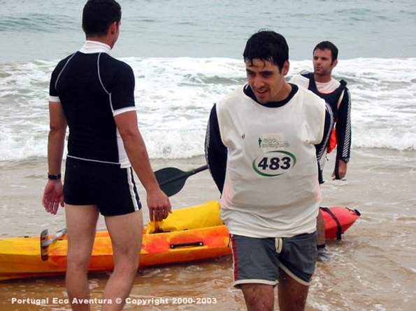 PEA_ALG03_CAN7_Ynox01