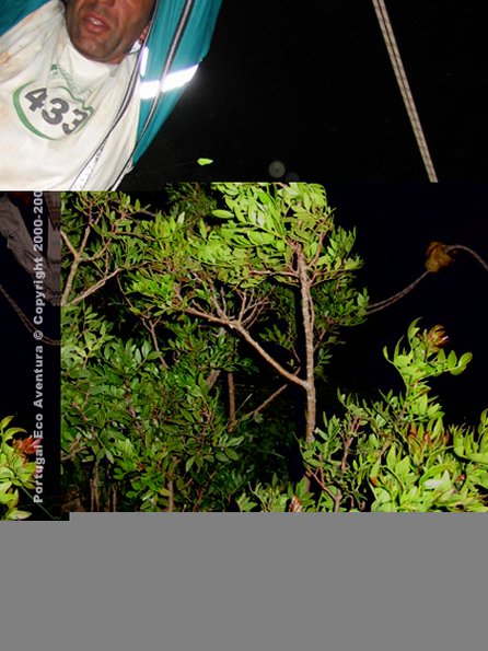 PEA_ALG03_SLI6_ClacNel