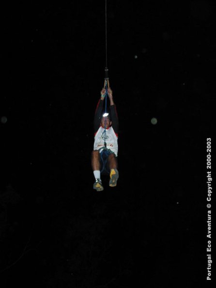 PEA_ALG03_SLI6_Optimus01