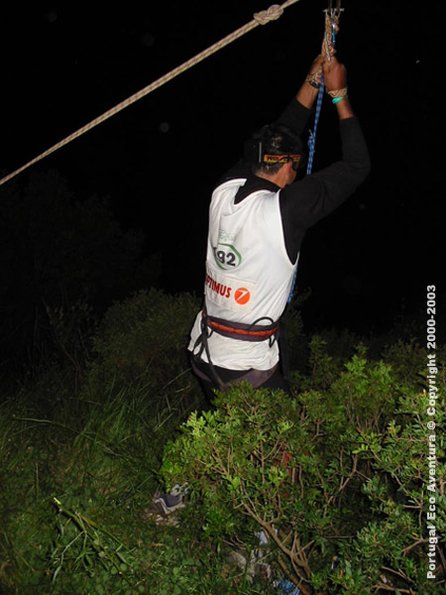 PEA_ALG03_SLI6_Optimus02