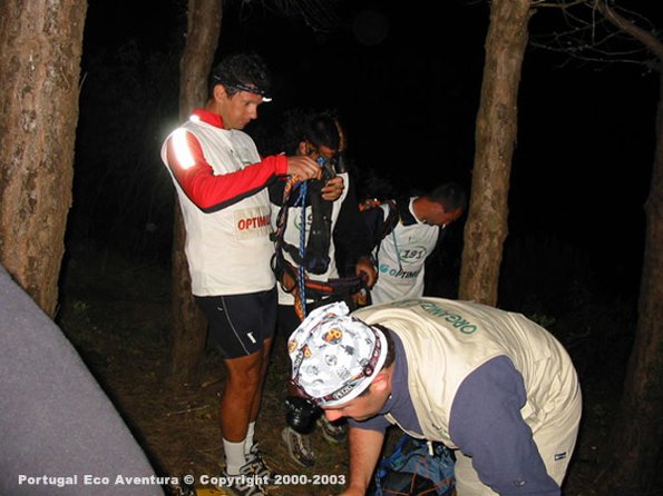 PEA_ALG03_SLI6_Optimus03