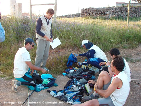 PEA_ALG03_VERFI_TECIII