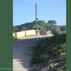 PEA_ALC02_10