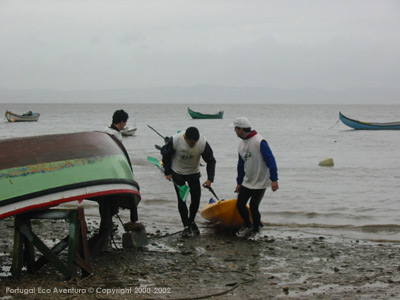PEA_ALC02_50