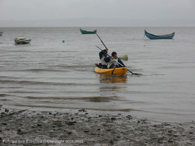 PEA_ALC02_51
