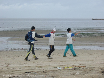 PEA_ALC02_68