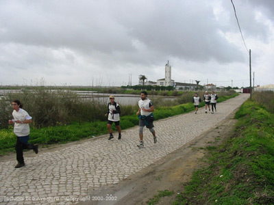 PEA_ALC02_70