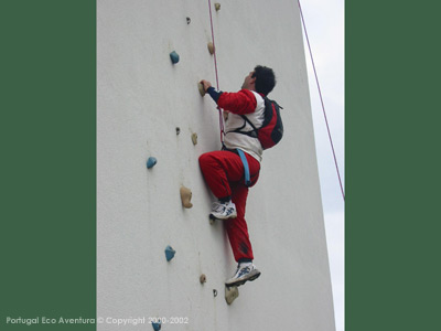 PEA_ALC02_79