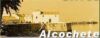 alc02
