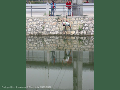 PEA_POM02_43