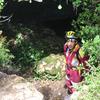 PEA_POM02_62