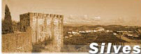 sil01