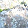 PEA_VRE02_37
