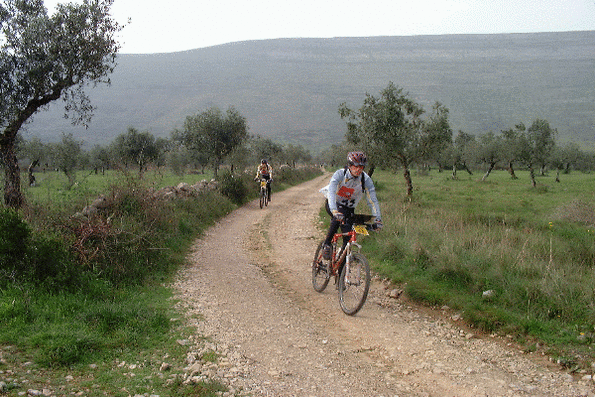 057_PeaLei_oribtt_jpg