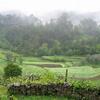 PEA_Xures05_106