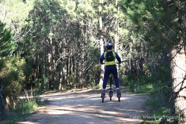 est06_et10_trikkeped_4869_wt