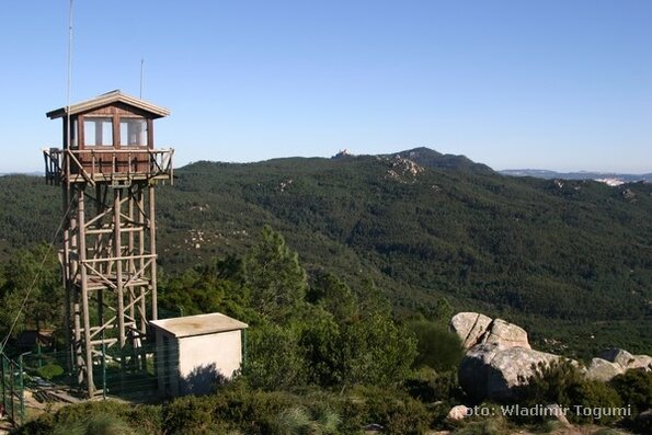 est06_et10_trikkeped_4880_wt