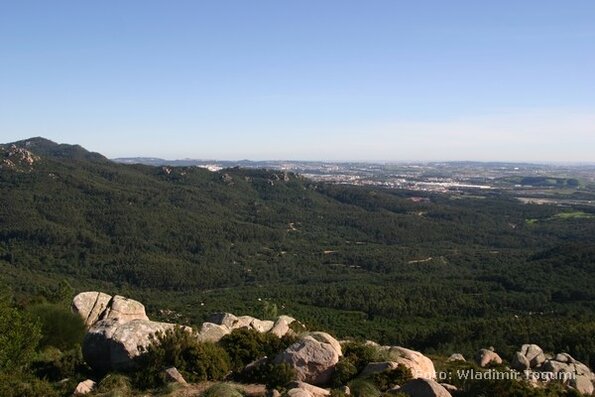 est06_et10_trikkeped_4881_wt