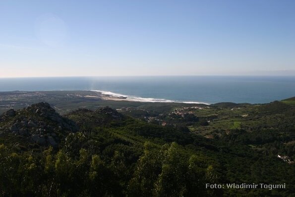 est06_et10_trikkeped_4888_wt