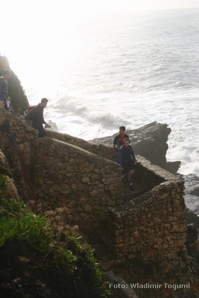 est06_et1_ped_4463_wt