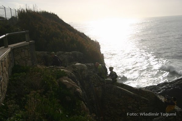 est06_et1_ped_4467_wt