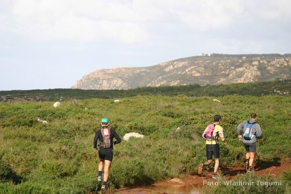 est06_et3_ped_4596_wt