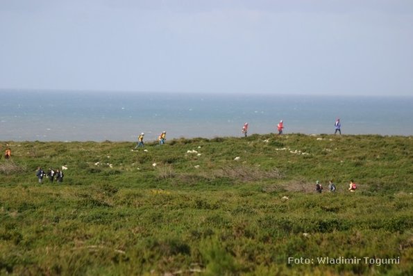 est06_et3_ped_4601_wt