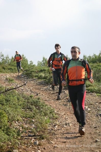 est06_et3_ped_4605_wt