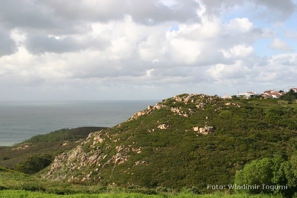 est06_et3_ped_4608_wt