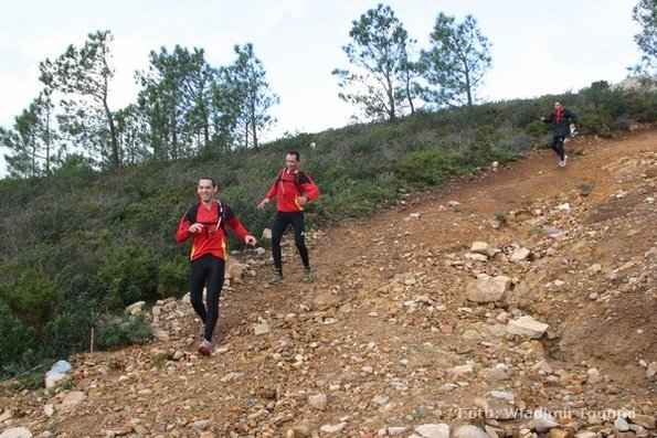 est06_et3_ped_4609_wt