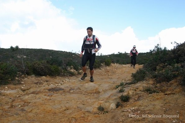 est06_et3_ped_4612_wt