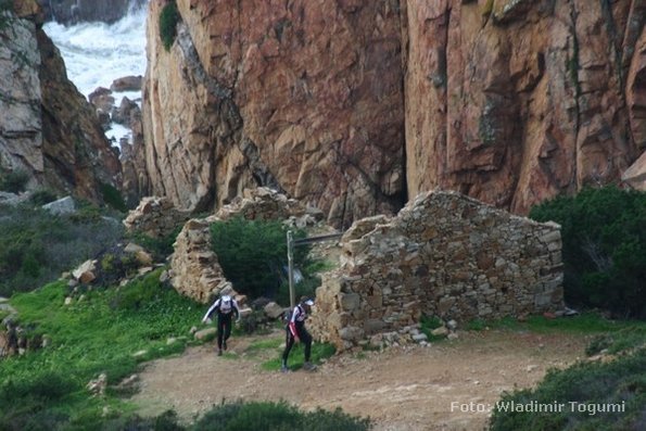 est06_et3_ped_4620_wt