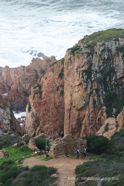 est06_et3_ped_4621_wt