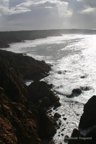 est06_et3_ped_4625_wt