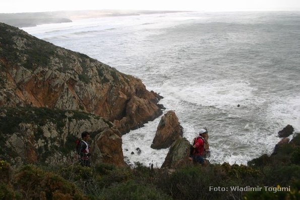 est06_et3_ped_4630_wt