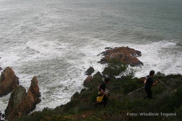 est06_et3_ped_4632_wt