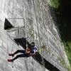 ibe06_et3_pednatrap_3354_av